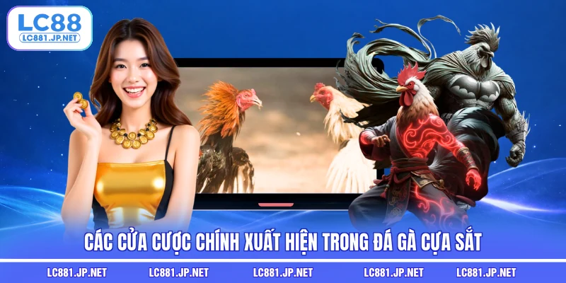Các cửa cược chính xuất hiện trong đá gà cựa sắt