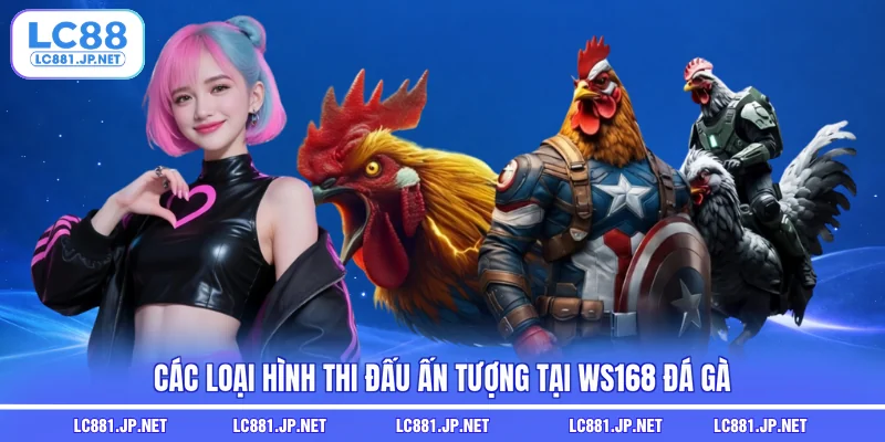 Các loại hình thi đấu ấn tượng tại WS168 đá gà