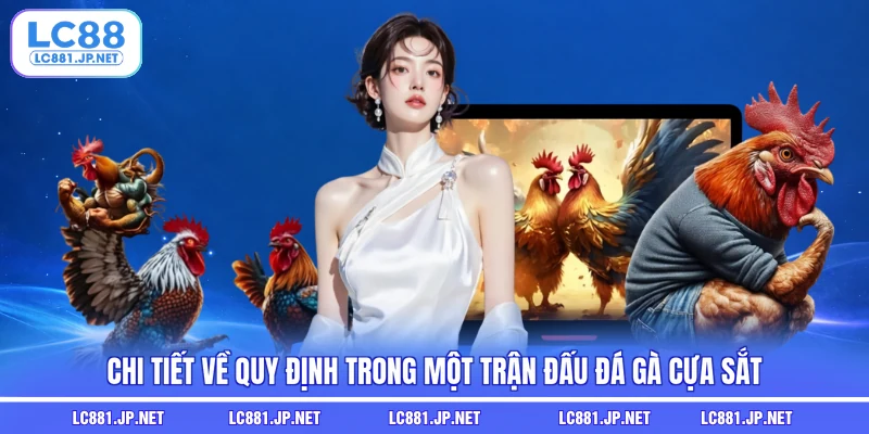 Chi tiết về quy định trong một trận đấu đá gà cựa sắt