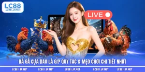 Đá Gà Cựa Dao Là Gì? Quy Tắc & Mẹo Chơi Chi Tiết Nhất