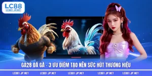 GA28 Đá Gà - 3 Ưu Điểm Tạo Nên Sức Hút Thương Hiệu