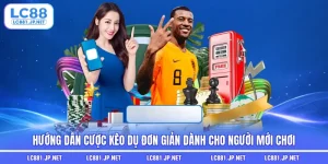 Hướng Dẫn Cược Kèo Dụ Đơn Giản Dành Cho Người Mới Chơi