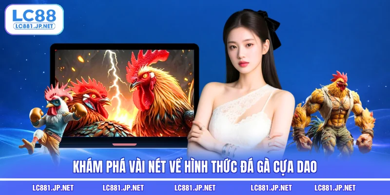 Khám phá vài nét về hình thức đá gà cựa dao
