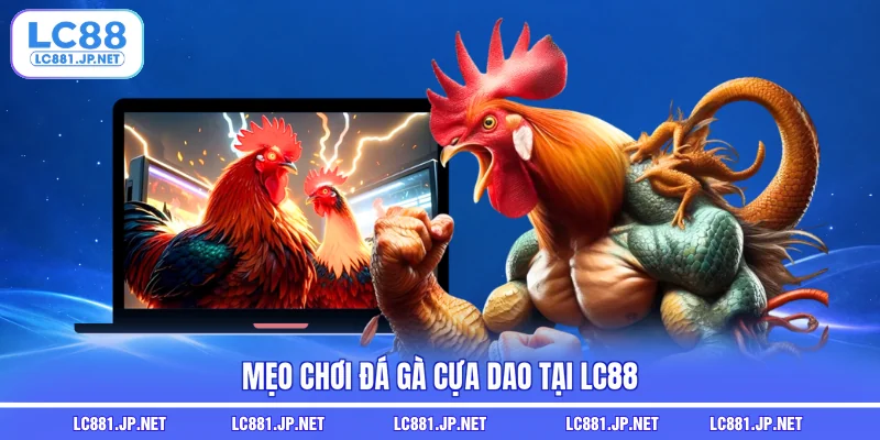 Mẹo chơi đá gà cựa dao tại LC88