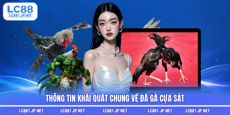 Thông tin khái quát chung về đá gà cựa sắt